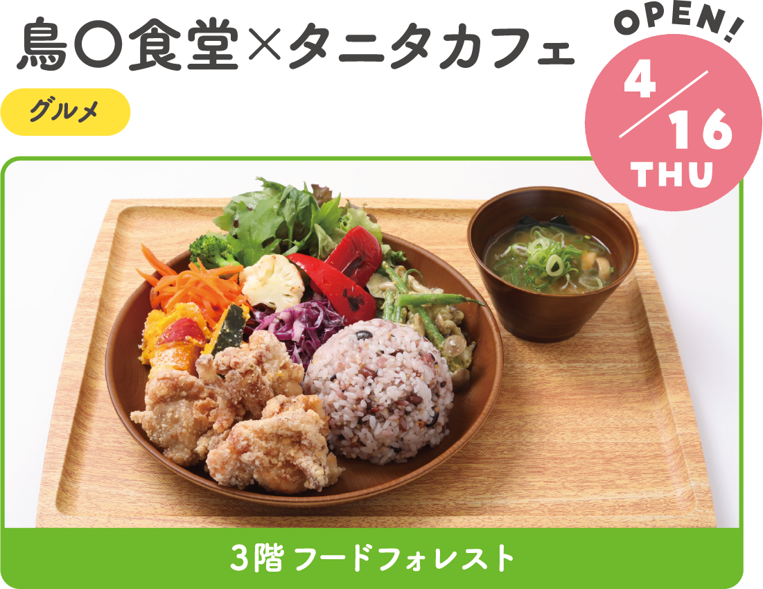 4.16THU　NEW!　鳥〇食堂×タニタカフェ